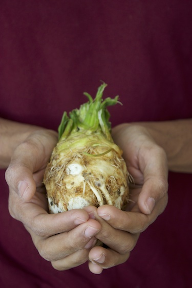 Celery-Root