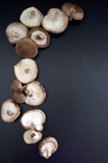 Wild-Mushroom-2