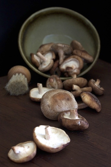 Wild-Mushroom