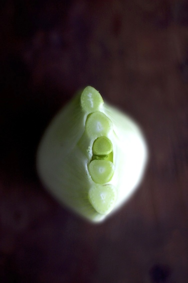 fennel-salad-1