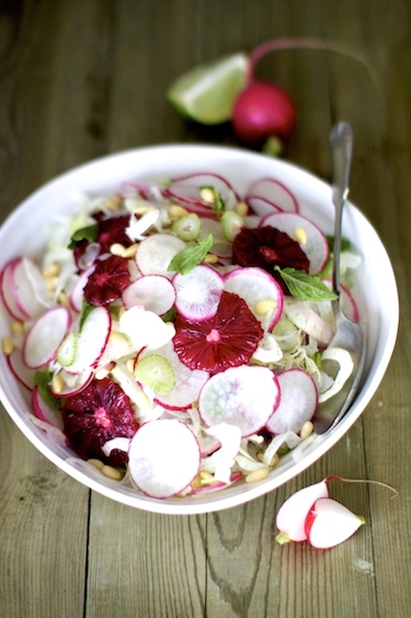 fennel-salad-2