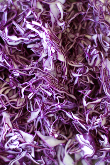 coleslaw-3